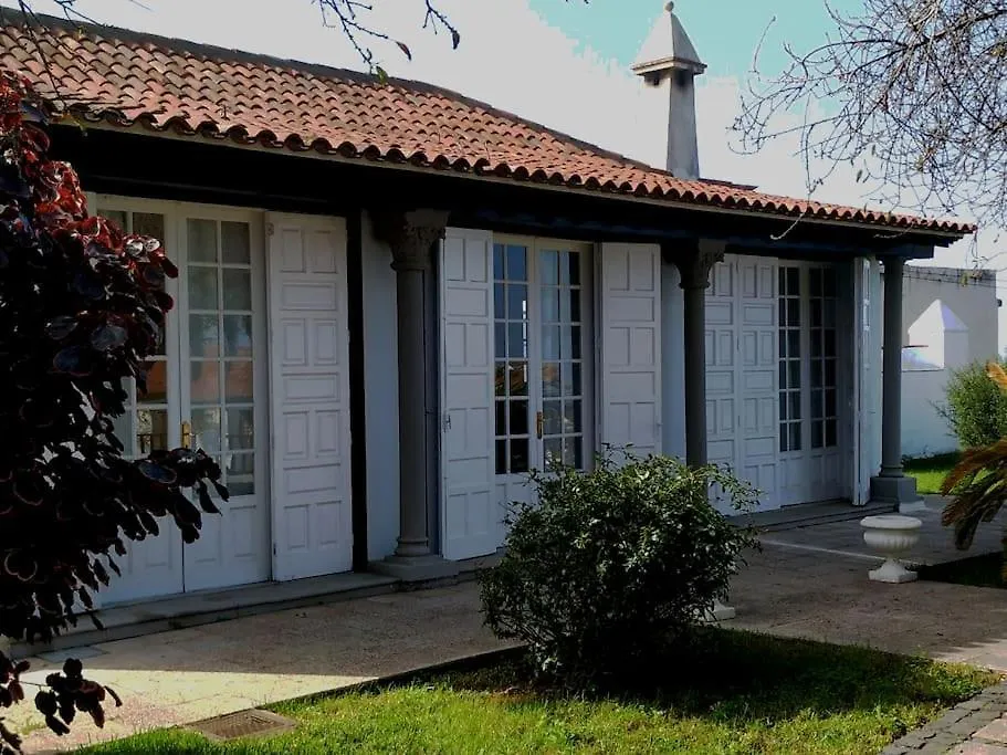Villa En El Campo Con Piscina Privada Y Sunsets! La Matanza De Acentejo Spain